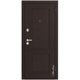 Входная дверь Металюкс М448/1 Z Е5 в интернет-магазине primadoors.by