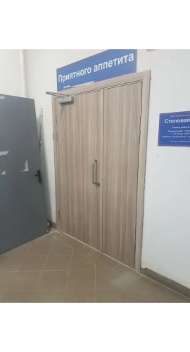 Двойная дверь деревянная техническая Ф10 в интернет-магазине primadoors.by