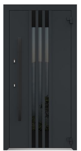 Входная дверь AG6119 (black) в интернет-магазине primadoors.by