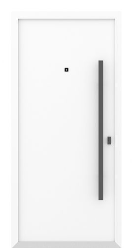 Входная дверь AG6066 (black) в интернет-магазине primadoors.by